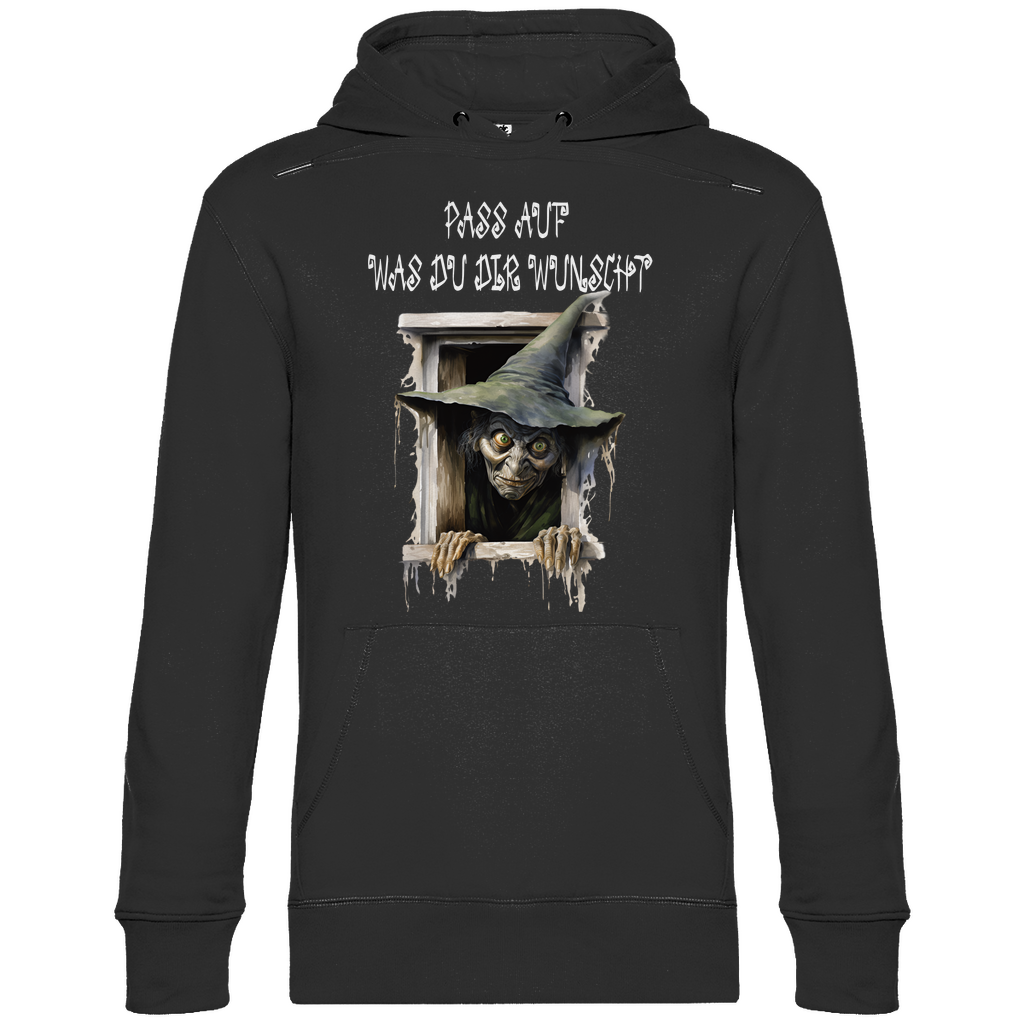Herren Promo Hoodie pass auf was du dir wünscht-01