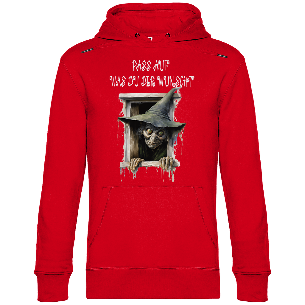 Herren Promo Hoodie pass auf was du dir wünscht-01